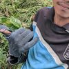 ceng.perceng