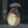 totoro_san_tt