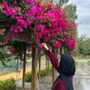 aseelbilal1