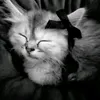 ids.ana