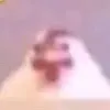 chicken._18