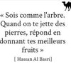 ilyassambanghou1