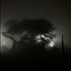 iliill_11