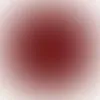 rokisonin_0