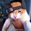 loyzz_slayer