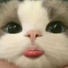 bebbie1__