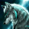 sami712727148