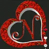 nagina579