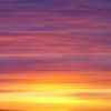 purpleyellow0001