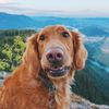 adventureswithmase