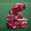 mosalah10_lfc