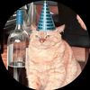 just_a_cat201