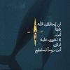 azk.28