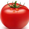 pomidor1402