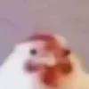 aoncgn0
