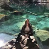 ginadiekatzmagnicht