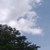 _0nlyysiti