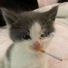 nt_hdeiu
