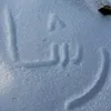 rashaalabasi