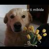 diegoavila064