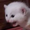 michyeo_michyeo