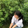 hothimang204