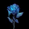 ado1024_cfk