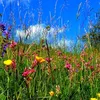 steffiwunderlich6