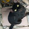 mioww.d.tam