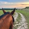 crossmranch