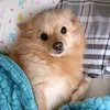 stefy03473