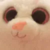 lioncutie253