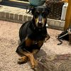 aspen123girl