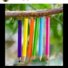 pame_lar