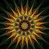 flowdivision