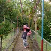 feelhsna