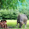 __nguyenthanhtrung__