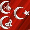 basrol_80