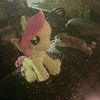 itsmeerotibohay