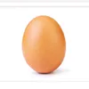 egg_boi57