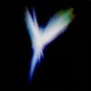 sonxbl