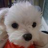 leesoohyeong6