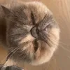 wilma_071