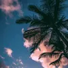 saraalhajj10