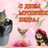 Илья Щербаков
