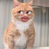 namnammox