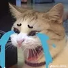 tuan.tran1105
