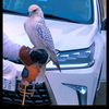 ahmed..ak