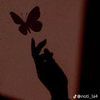 om.louay62