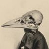plaguenursez